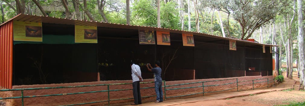 Horsley_Hills_Animal_Complex_Bird_Cages